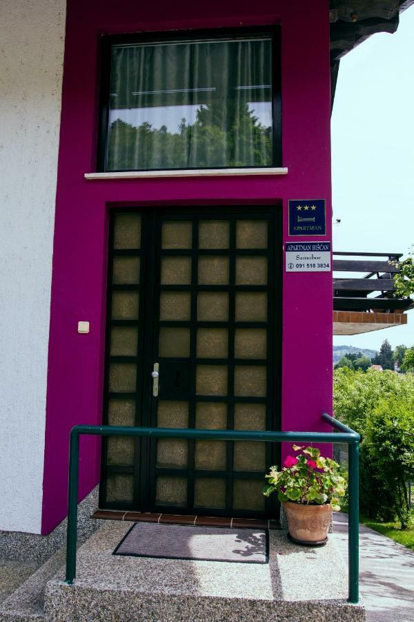 Apartment Biscan